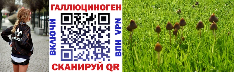 KRAKEN ТОР  наркошоп  Приморско-Ахтарск  Галлюциногенные грибы ЛСД 